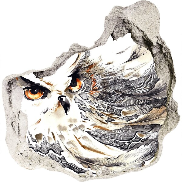 Fototapeta díra na zeď Sova za letu