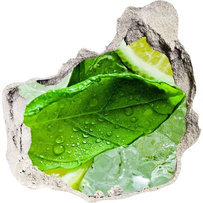 Nálepka 3D díra na zeď Čerstvé lístky máty na ledu