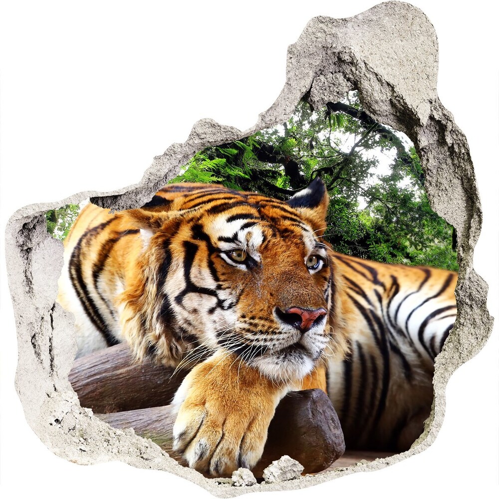 Díra 3D fototapeta na stěnu Tygr na skále