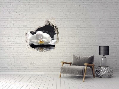 Samolepící díra na stěnu nálepka Květina orchideje na vodě