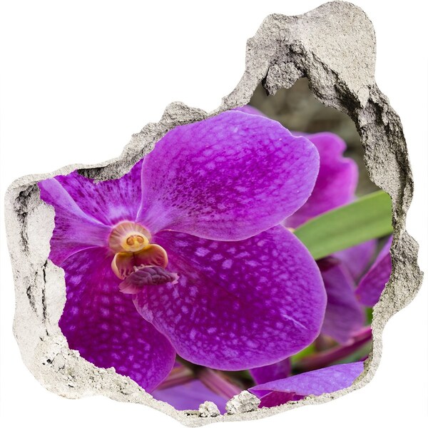 Samolepící díra nálepka Orchidej