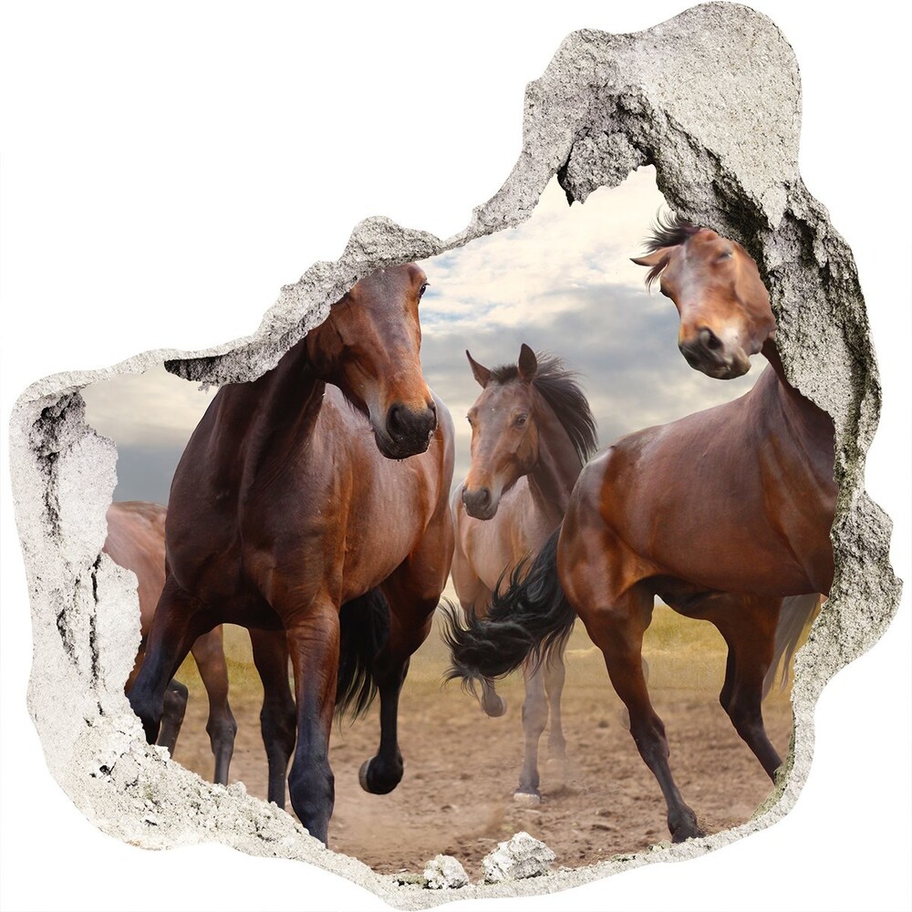 Díra 3D fototapeta na stěnu Pět koní
