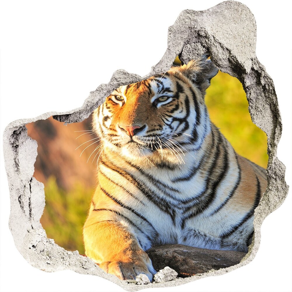 Díra 3D fototapeta nálepka Portrét tygra