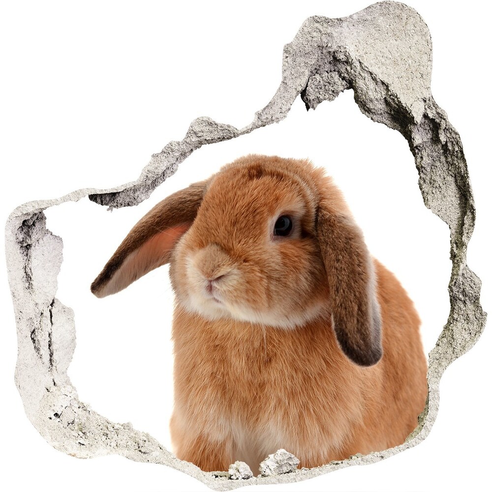 Díra 3D fototapeta nálepka Červený králík