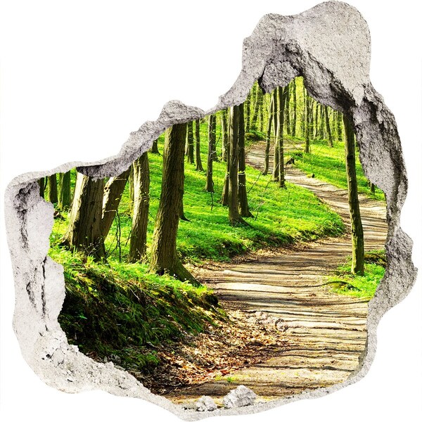 Nálepka fototapeta 3D výhled Lesní cesta zalitá sluncem