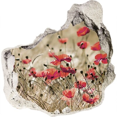 Samolepící díra nálepka beton Květinový ráj mezi betonem