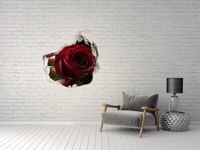 Fotoobraz díra na stěnu Žena s růží