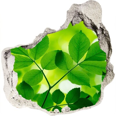 Samolepící díra nálepka Zelená oáza v betonu