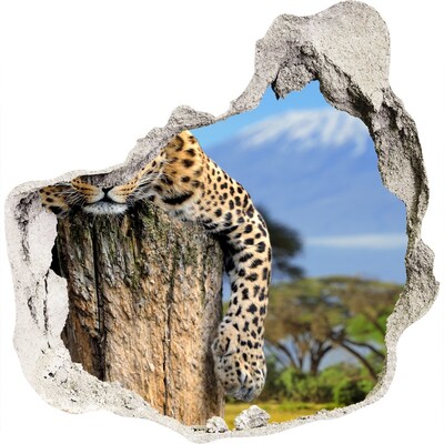 Díra 3D fototapeta na stěnu Lepkavý pohled leoparda