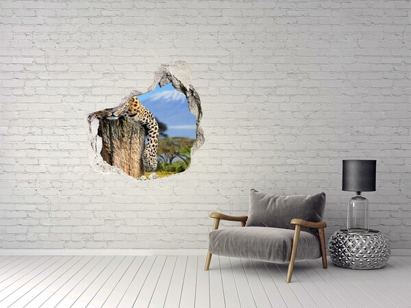 Díra 3D fototapeta na stěnu Lepkavý pohled leoparda