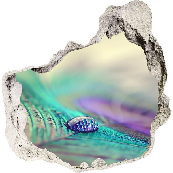 Díra 3D fototapeta na stěnu Kapka na pávím peru
