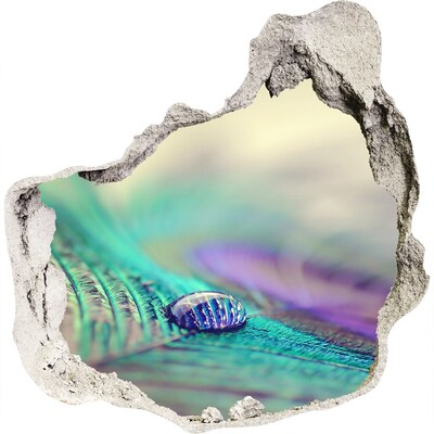 Díra 3D fototapeta na stěnu Kapka na pávím peru