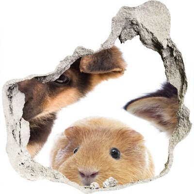 Díra 3D fototapeta nálepka Zvířata zpoza zdi