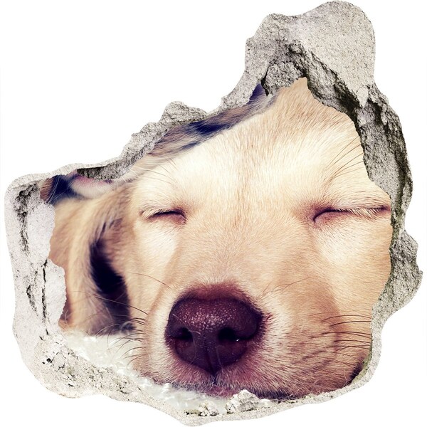 Díra 3D fototapeta na stěnu Roztomilý pes v díře ve zdi