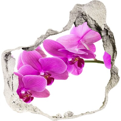 Samolepící díra nálepka Růžová orchidej