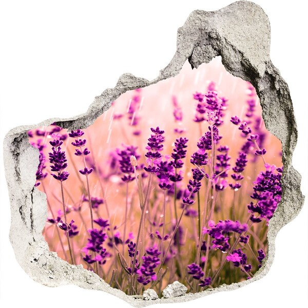 Samolepící díra nálepka beton Levandulová květinová louka