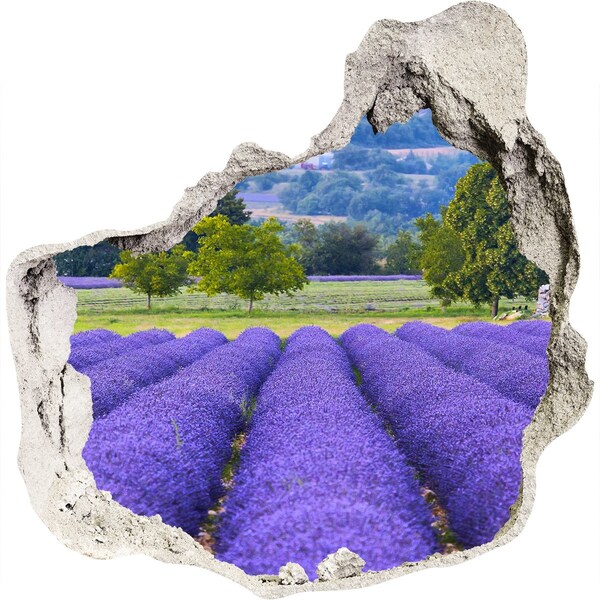 Nálepka fototapeta 3D výhled Levandulová pole v Provence