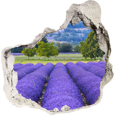 Nálepka fototapeta 3D výhled Levandulová pole v Provence