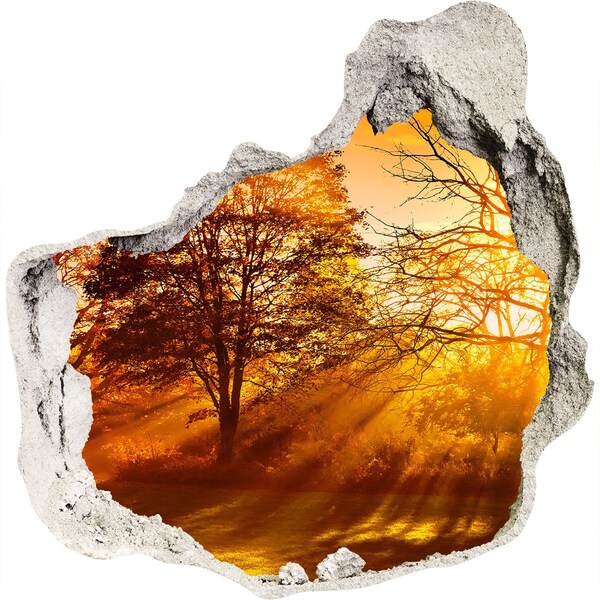 Nálepka fototapeta 3D výhled Zlaté paprsky slunce v lese