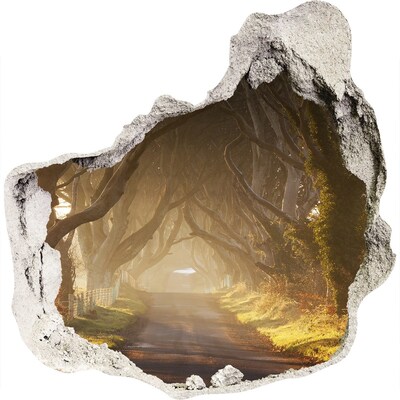 Nálepka fototapeta 3D výhled Cesta mezi stromy