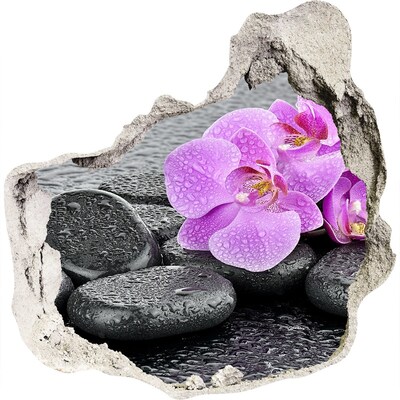 Samolepící díra na stěnu Orchidej kamení
