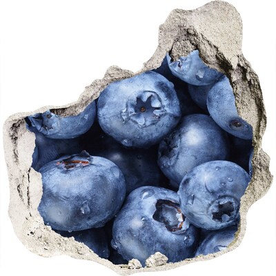 Nálepka 3D díra beton Bobule v betonu