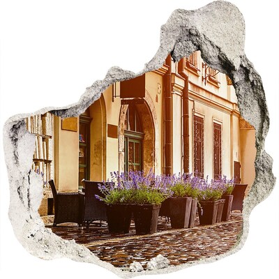 Fototapeta díra na zeď 3D Okouzlující koutek s levandulí