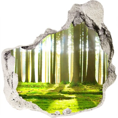 Nálepka fototapeta 3D výhled Les slunce