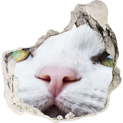 Díra 3D fototapeta nálepka Zelená kočičí oči