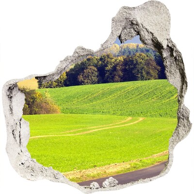 Nálepka fototapeta 3D výhled Polní cesta