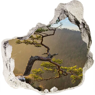 Nálepka fototapeta 3D výhled Sokolice Pieniny