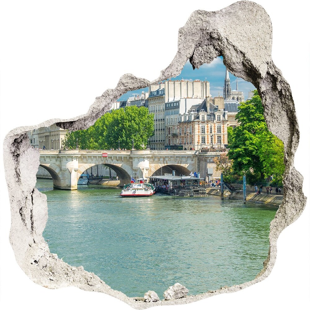 Fototapeta díra na zeď 3D Seina Paříž
