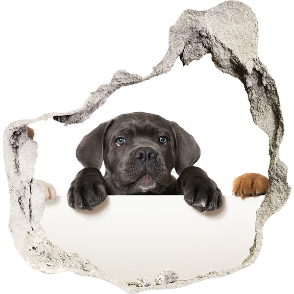 Díra 3D fototapeta nálepka Roztomilé štěně zpoza zdi