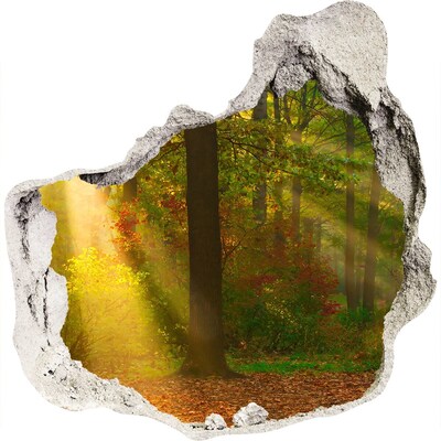 Nálepka fototapeta 3D výhled Les slunce