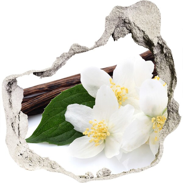 Samolepící díra na stěnu Jasmínové květy v betonu