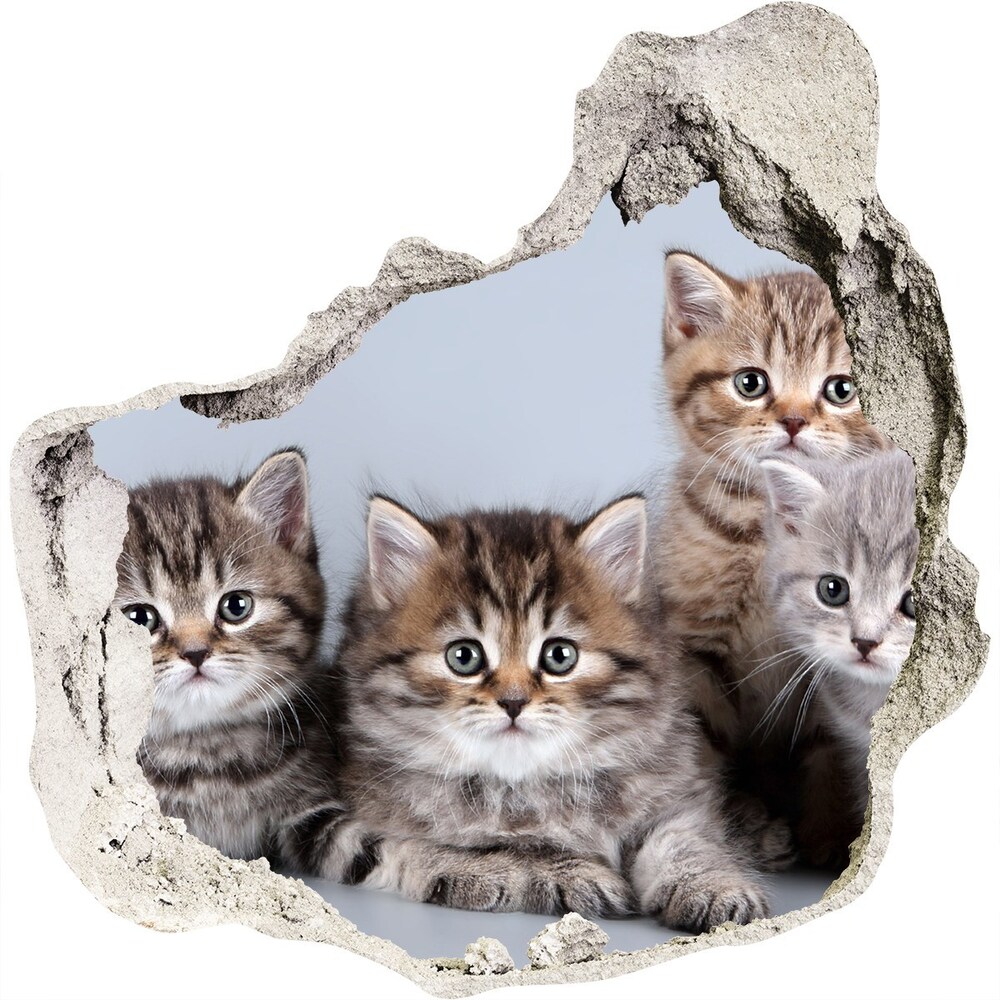 Díra 3D fototapeta nálepka Pět koček