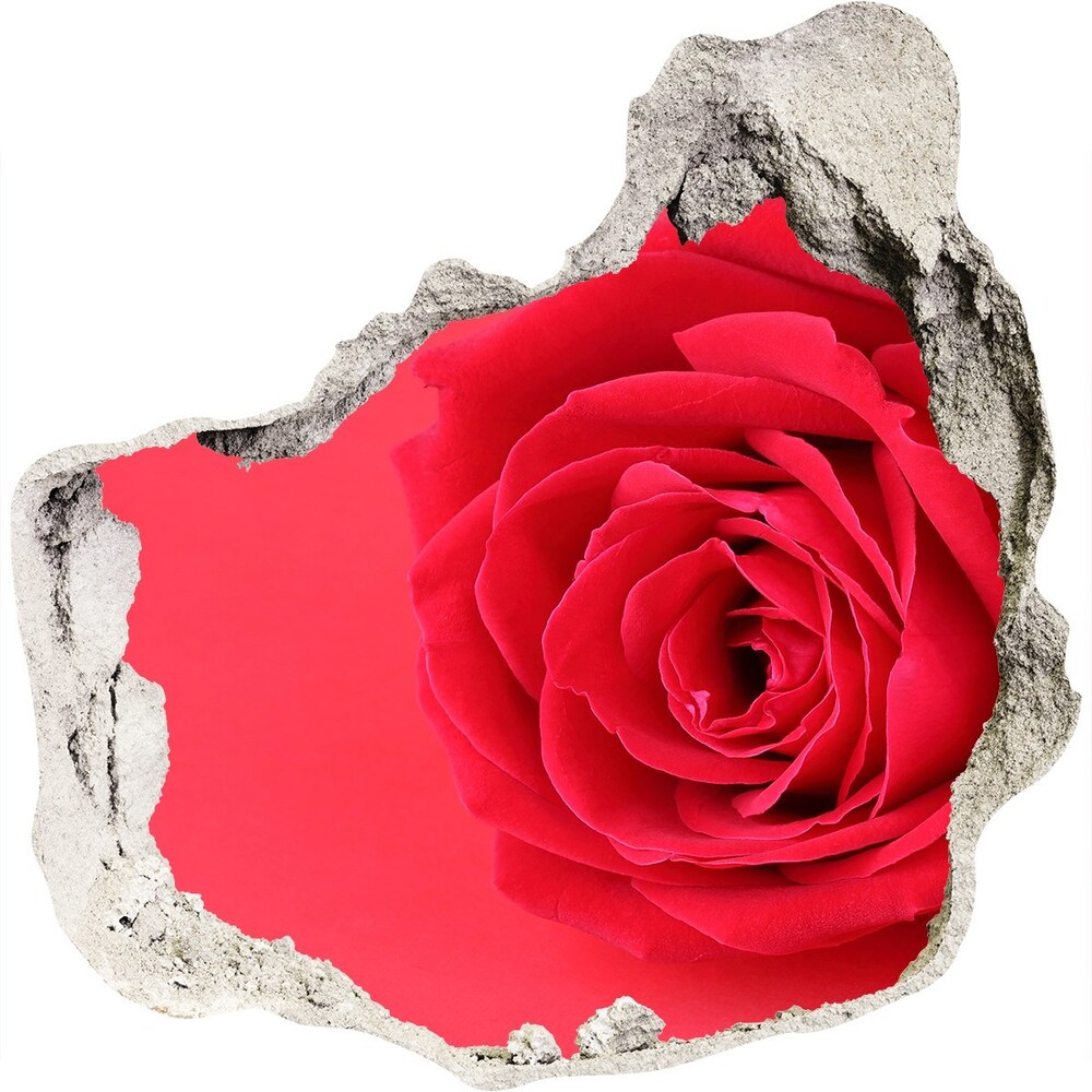 Díra 3D fototapeta na stěnu Červená růže