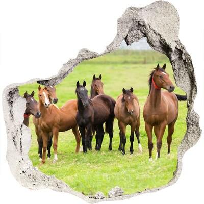 Díra 3D fototapeta nálepka Stádo koní na louce