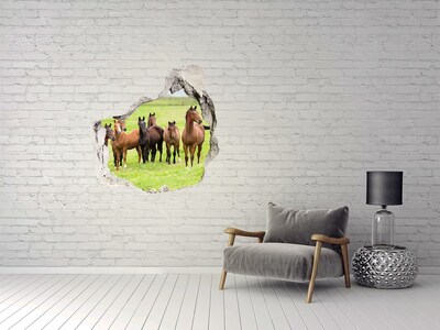 Díra 3D fototapeta nálepka Stádo koní na louce