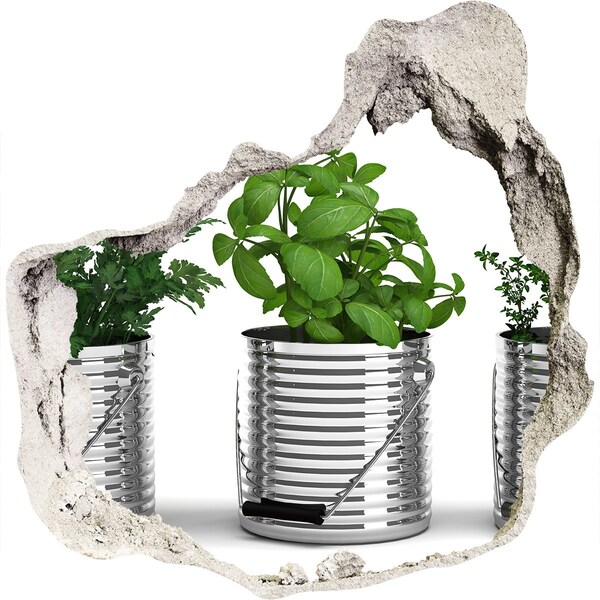 Samolepící nálepka Zelená zahrada v kovových květináčích