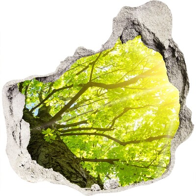 Samolepící díra nálepka Zelený les v paprscích slunce