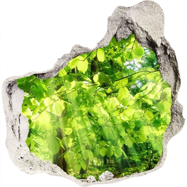 Nálepka fototapeta 3D výhled Zelený les v paprscích slunce