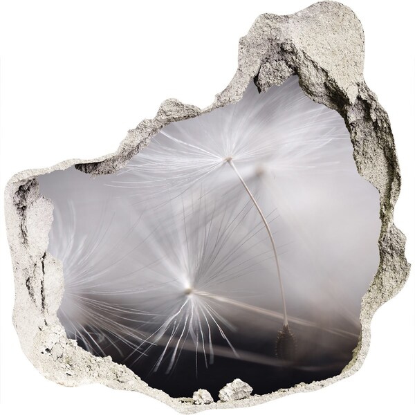 Samolepící díra nálepka Pampelišky v betonu