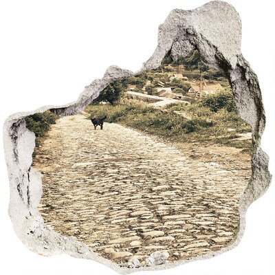 Díra 3D fototapeta nálepka Okouzlující venkovská cesta