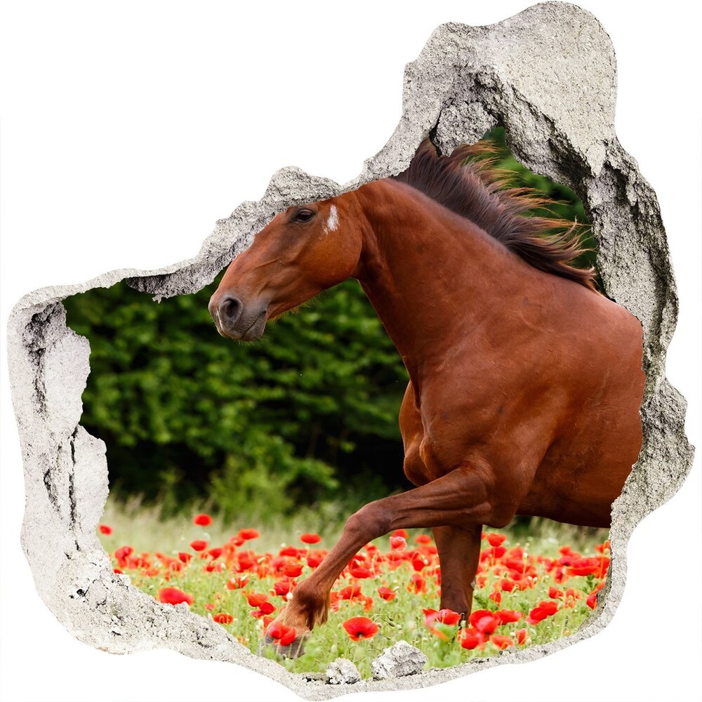 Díra 3D fototapeta nálepka Kůň na poli máků