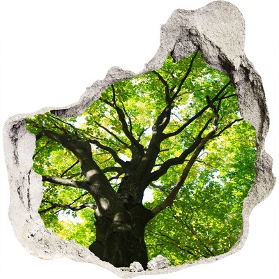Samolepící díra na stěnu Zelený les v díře ve zdi
