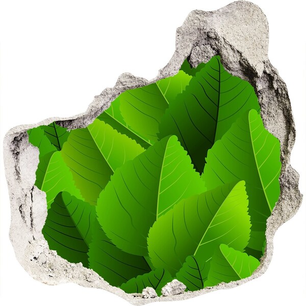 Fototapeta díra na zeď Zelená oáza v betonu