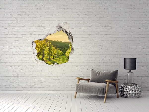 Nálepka fototapeta 3D výhled beton Vinice v Porto