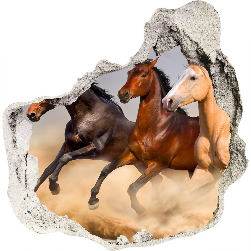 Díra 3D foto tapeta nálepka Koně ve cvalu