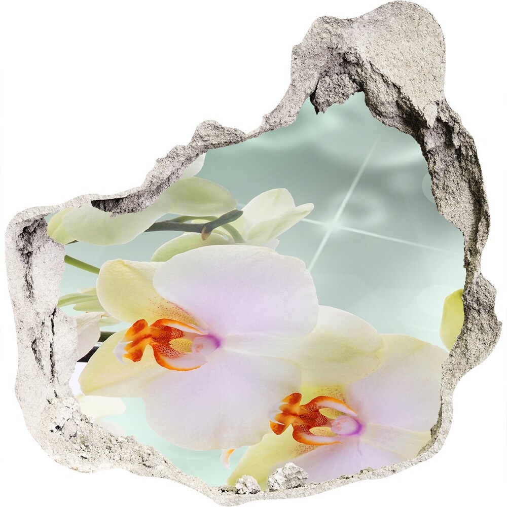 Samolepící díra nálepka Bílá orchidej